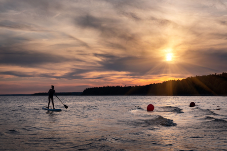 Paddle*