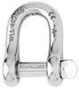 D Shackles Standard Captive pin D shackle - Dia 10 mm